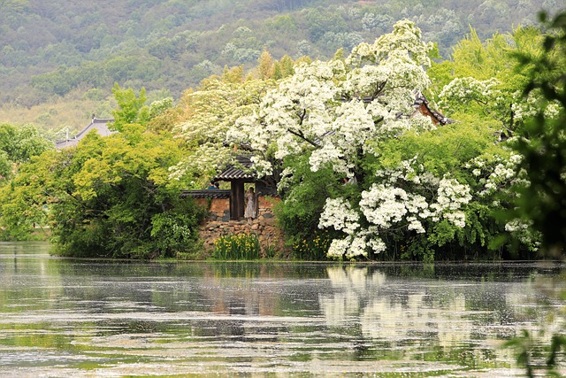 경남 밀양에서 가볼 만한 곳 추천 611a02d02e26723458b66d88ecf2d2b6_1720317303_8294.jpg