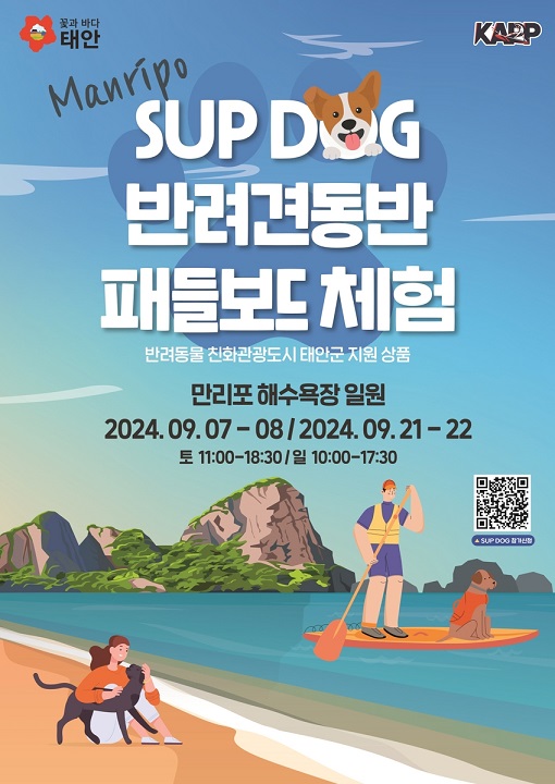 반려견과 함께하는 서핑 체험 - 태안군 서프 독(SUP DOG) 프로그램 761aa401045b695cc6c7d781e891714b_1724379746_0955.jpg