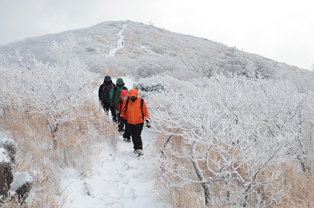  울산 ‘반구천의 암각화’ 2025년 유네스코 세계유산 등재 신청

 bbs_20240203223704.jpg