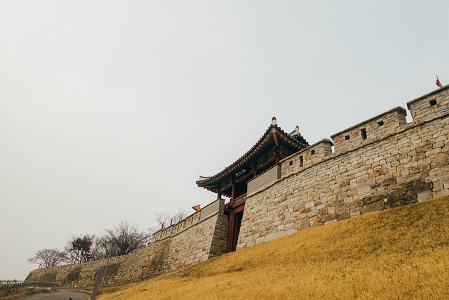  충청남도와 세종시 교류 활동 강화 협약 체결

 bbs_20240205162804.jpg