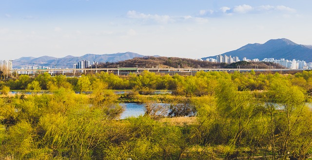 
대구경북신공항 에어인천 화물터미널 입주 협약 체결

 bbs_20240306083604.jpg