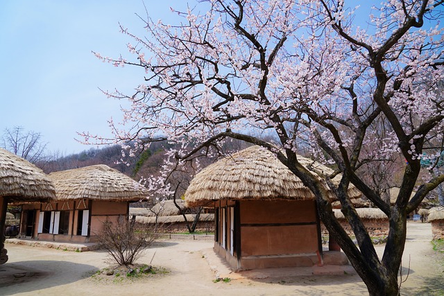  경기도 1인 가구와 사회적 배려층 반려동물에 의료비·장례비 지원

 bbs_20240312164804.jpg