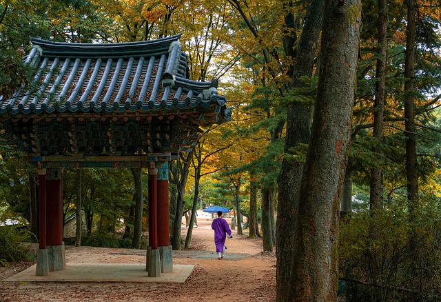  한국인 수면 부족 심각성 알린 씰리침대 설문조사 결과 공개

 bbs_20240316141703.jpg