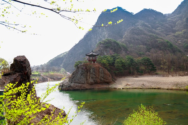  충북 식당서 조직폭력배 3명 구속...음식점에 재물 파손

 bbs_20240321000904.jpg