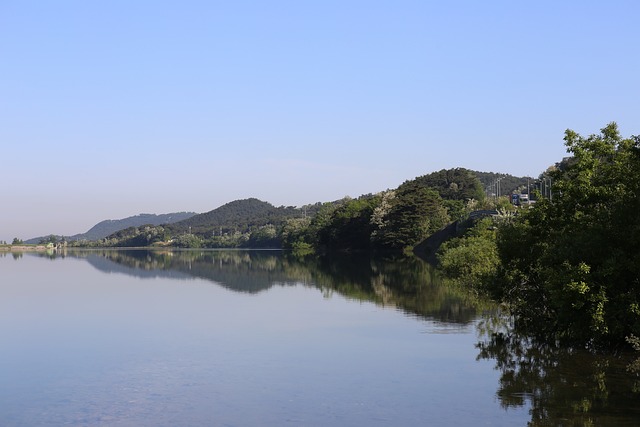  충남 출마 후보 독특한 선거 시대 행보

 bbs_20240324141007.jpg