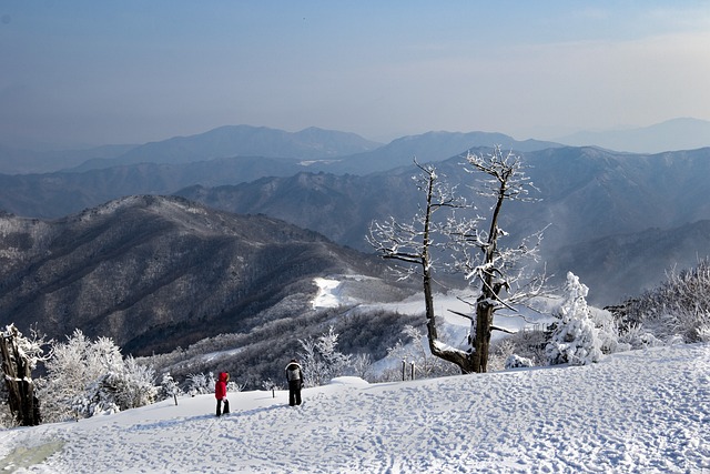 
울산 컨테이너 터미널 사고로 2명 사망

 bbs_20240325143008.jpg