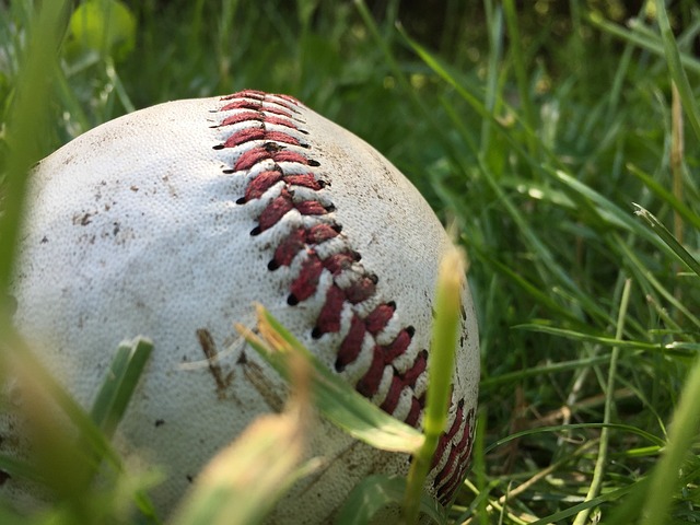  오타니 MLB서 활약 중인 일본 선수의 홈런 부진에 관심
 bbs_20240403231204.jpg