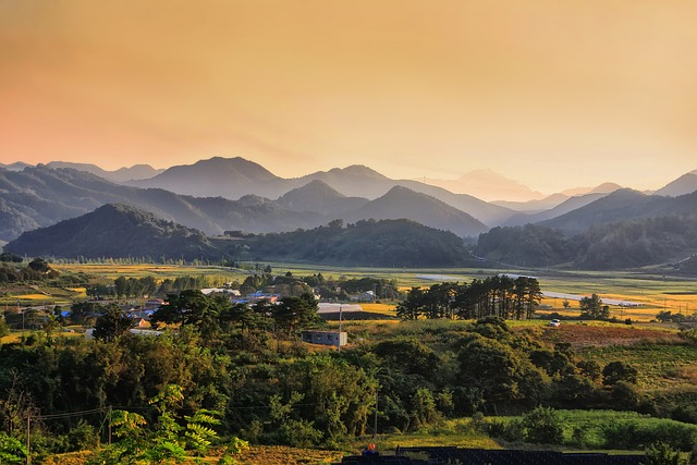  충북 현수막 파문 사전투표 독려 논란

 bbs_20240407000504.jpg