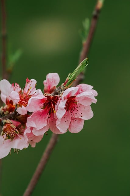  삼성 갤럭시 스튜디오 포토 운영 기간 연장
 bbs_20240421220404.jpg