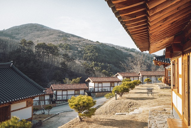  한국 배당소득 분리과세 추진…법인세 감면으로 기업 주주 지원

 bbs_20240422103604.jpg