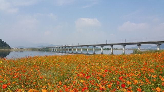  한국철도공사 새로운 고속열차 KTX-청룡 시승행사 개최

 bbs_20240423053903.jpg