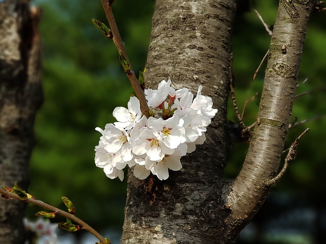  경북 구미시 달달한 낭만 야시장 개최로 전통시장 활성화 성공적

 bbs_20240429053103.jpg