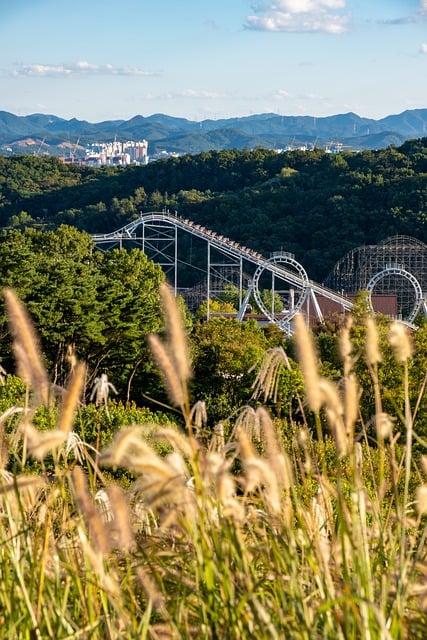  에버랜드 가족 공연 풍성하게 준비
 bbs_20240429144506.jpg