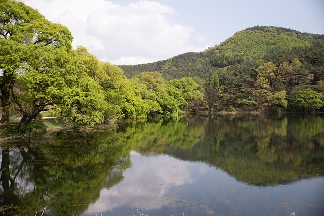  경북도 가정의 달 맞아 농산물 특판 이벤트

 bbs_20240507120503.jpg