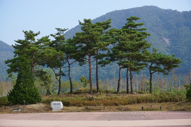  춘천 국립박물관 선림원터 금동보살 전시회 개최

 bbs_20240516052005.jpg