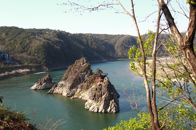  충북 과수화상병 확산...11곳서 화상병 감염 확인

 bbs_20240518023103.jpg