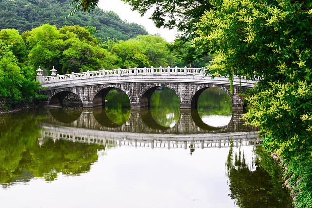  대구 TK신공항과 연계한 군위군 첨단산업단지 조성사업 본격 추진

 bbs_20240522054006.jpg