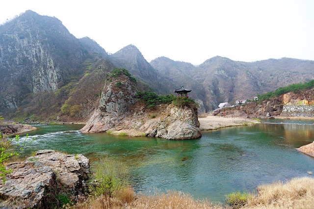  충북 과수화상병 신고 증가에 대응

 bbs_20240522124803.jpg