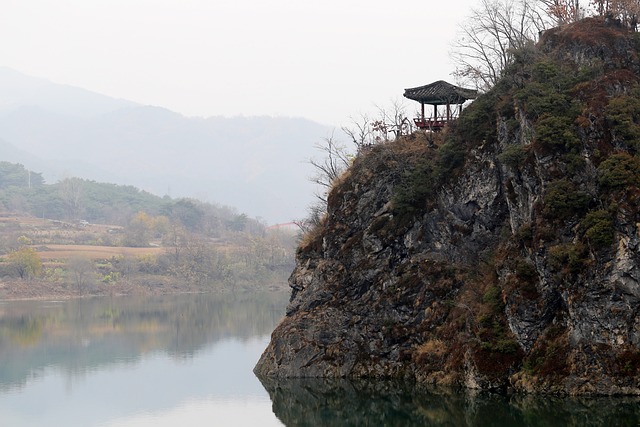  충남 전 지사 성폭행 사건 김지은 소송 1심 판결

 bbs_20240525081803.jpg