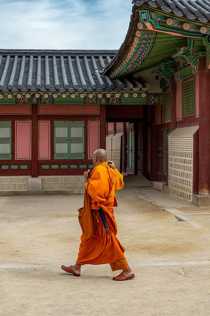  경복궁 낙서 사건 음란물 사이트 운영한 이팀장 중간수사결과 발표

 bbs_20240601163703.jpg