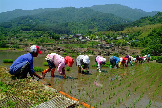  전라남도 의료계 집단 휴진 예고에 진료 명령과 휴진 신고 발령

 bbs_20240612183904.jpg