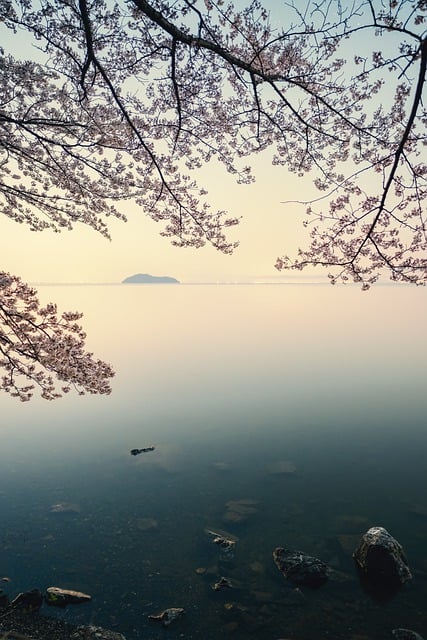  일본 사도광산 유네스코 세계문화유산 등재 부분 제외

 bbs_20240614222703.jpg