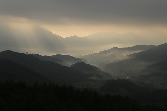  태백 산불로 동점동 산림 화재 발생 산림당국 긴급 대응 중

 bbs_20240614223703.jpg