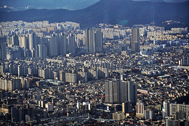  대구 수성구 동물원 이송한 백사자 새 보금자리서 새출발

 bbs_20240618121903.jpg