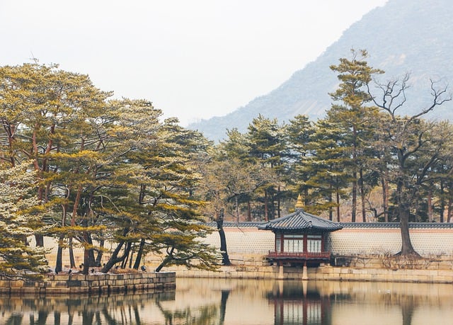  한미 유대 강화를 위한 노력 인정받은 윤윤수 휠라 회장과 박세리 희망재단 이사장 

 bbs_20240620122804.jpg