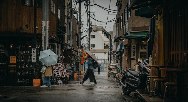  후지산 통행료 300% 인상 하루 최대 4000명 입산 제한

 bbs_20240701082903.jpg