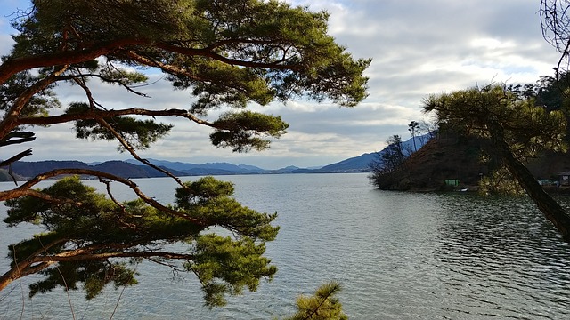  오늘 충남 지역 비상 폭우로 호우주의보 발령
 bbs_20240707124103.jpg